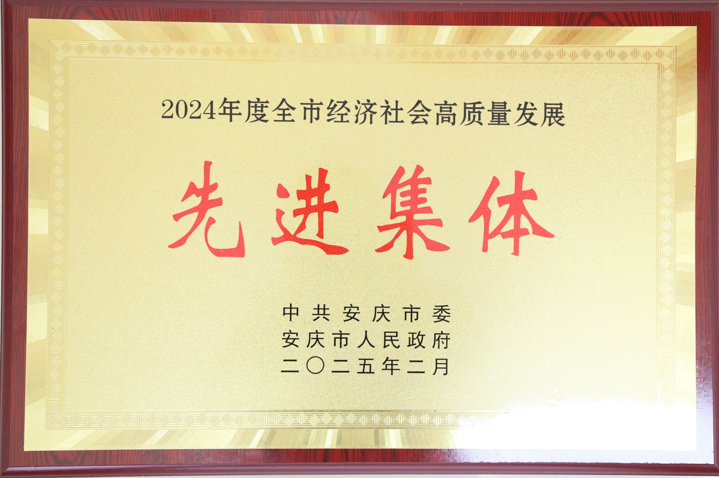 安慶市經濟社會高質量發展先進集體.jpg